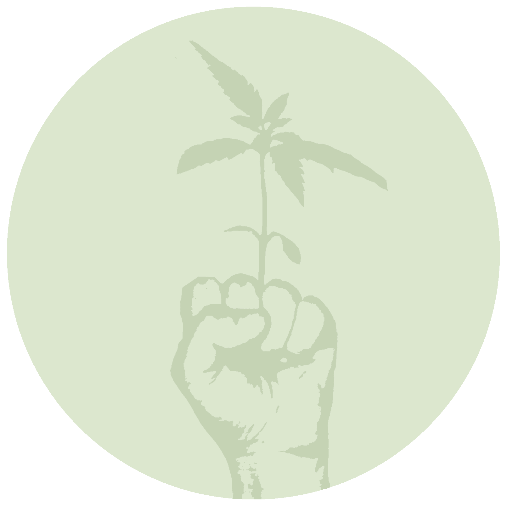 POWER FLOWER Terms & Conditions