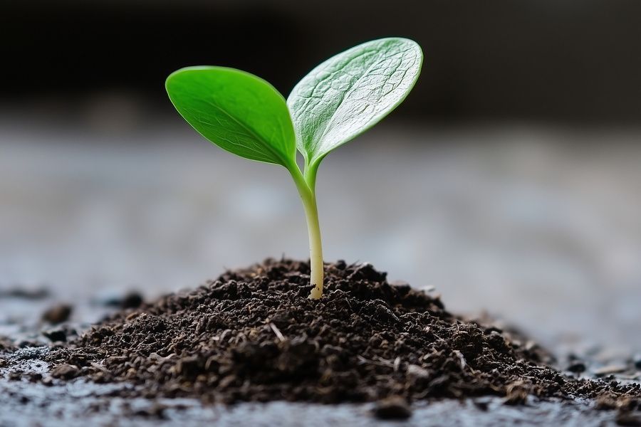 Terramation thumb image of green options page
