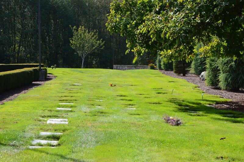 Sunlit green lawn with stepping stones, bordered by hedges and trees in a garden.