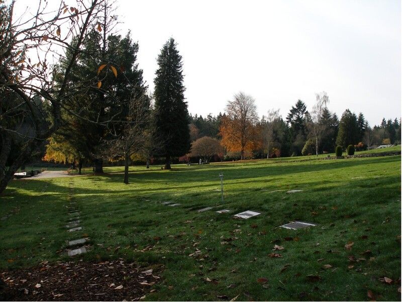 Grassy park with trees and a cloudy sky, showing a calm open landscape.