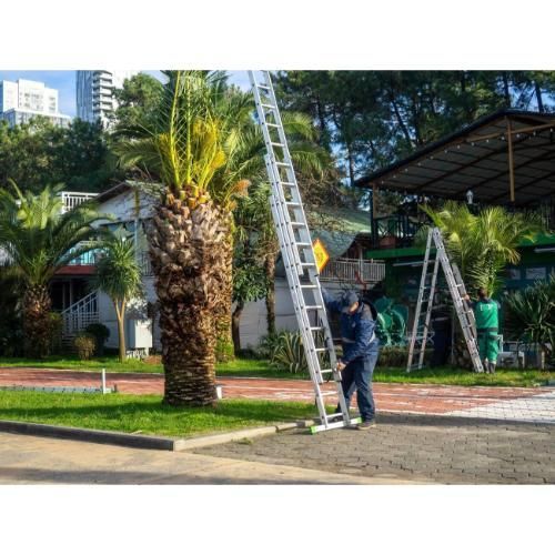 Trees getting trimmed