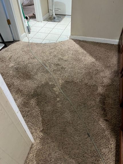 Brown shag carpet fills a room, connecting to a tiled hallway. A cabinet and doorway are visible.