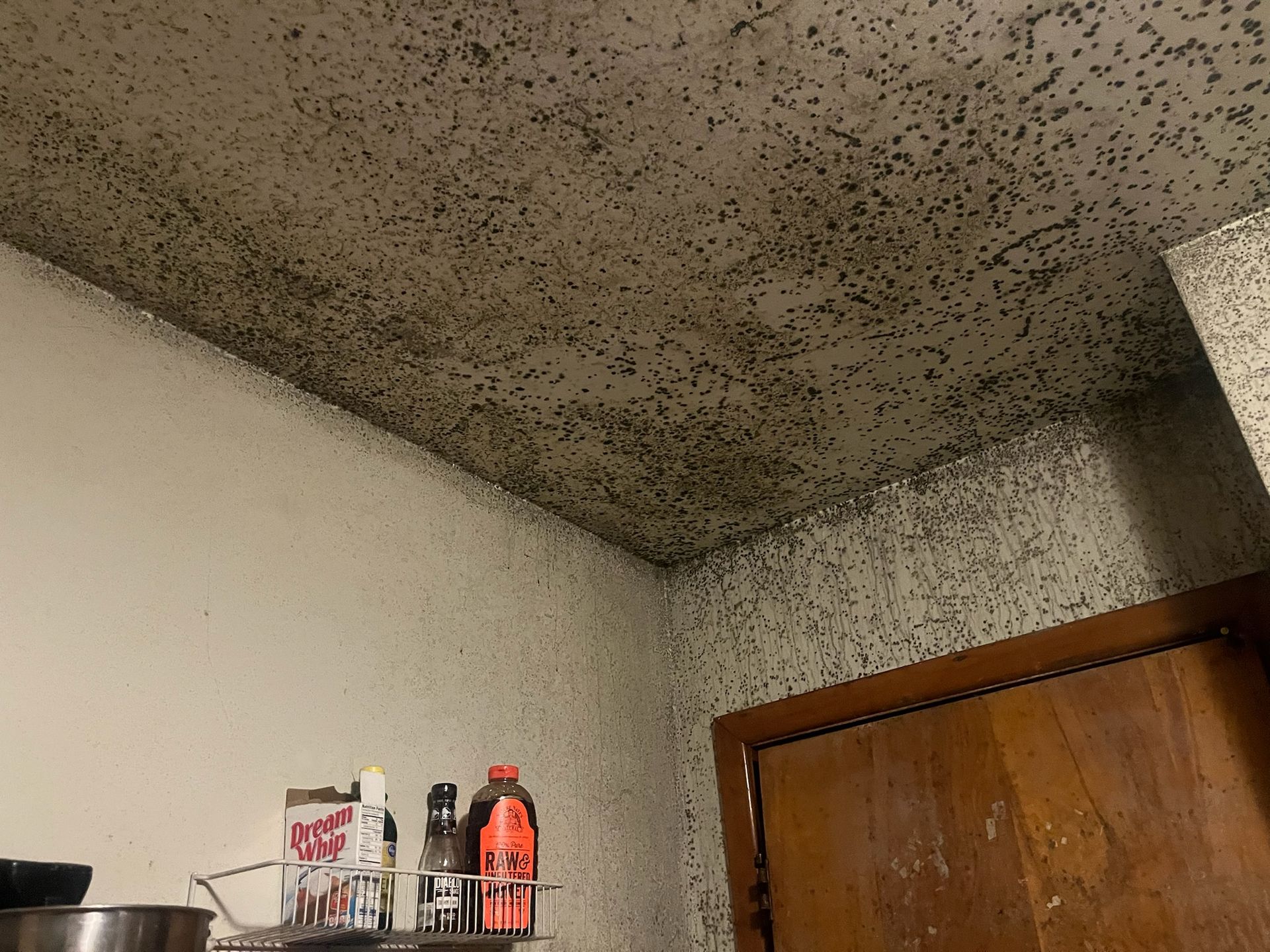 Ceiling and walls covered in dark mold. Corner with a wooden door, shelf with bottles.