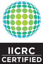 Globe logo in shades of blue and green, with