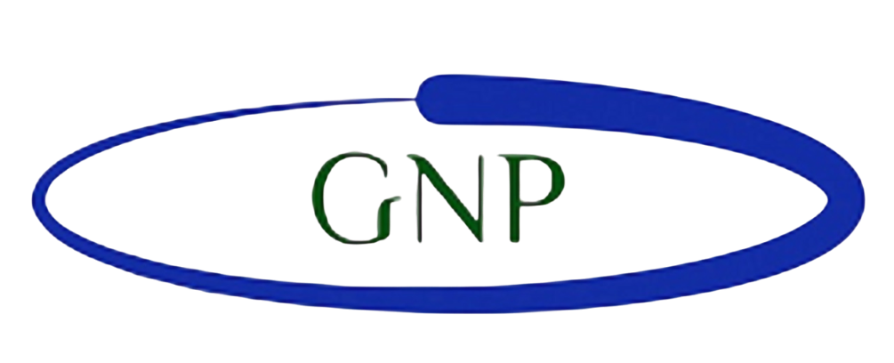 A blue circle with the word gnp on it