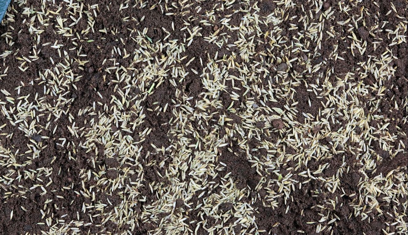 Garden Accessories 2