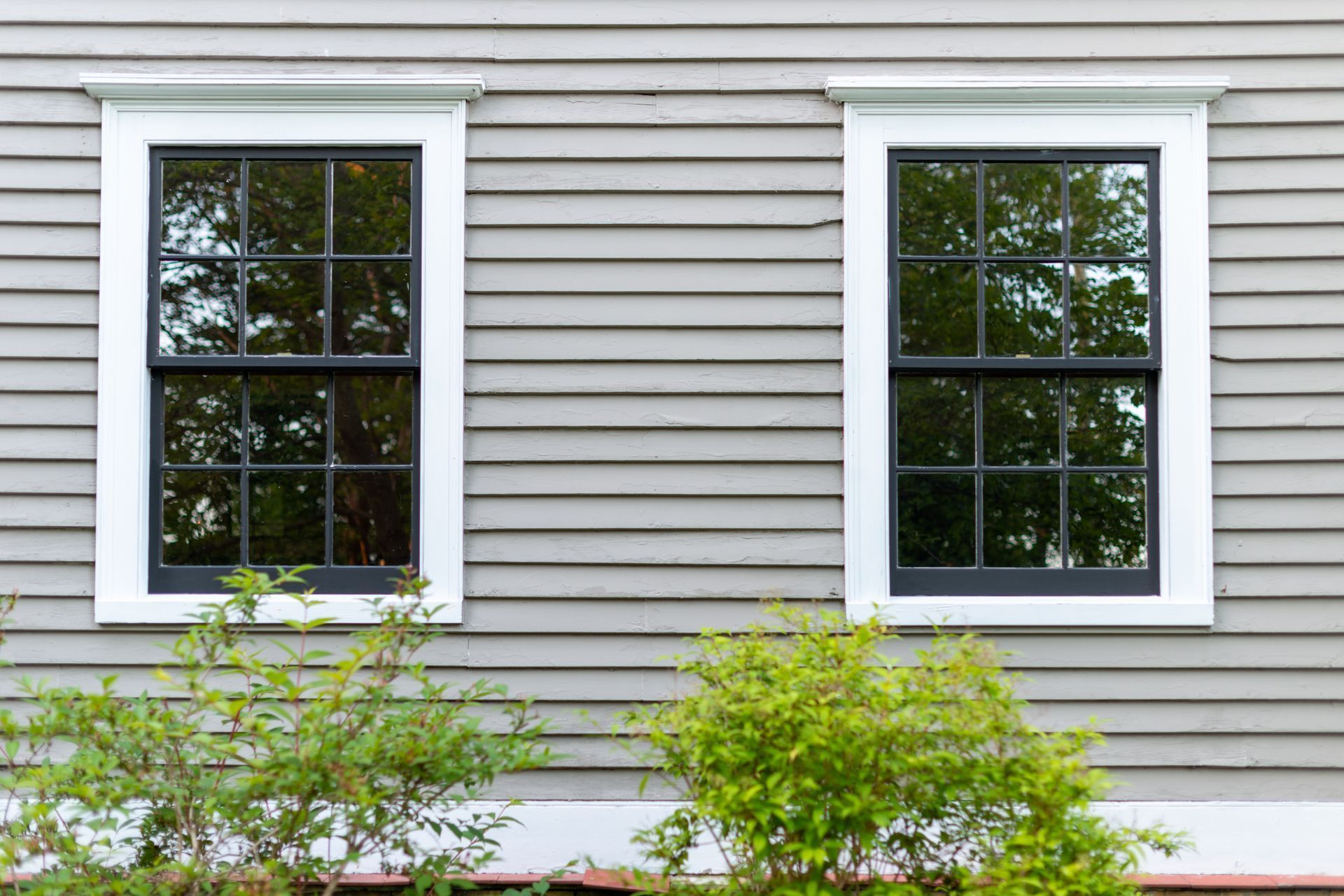 Two black-framed windows with white trim on a gray clapboard house; bushes below.