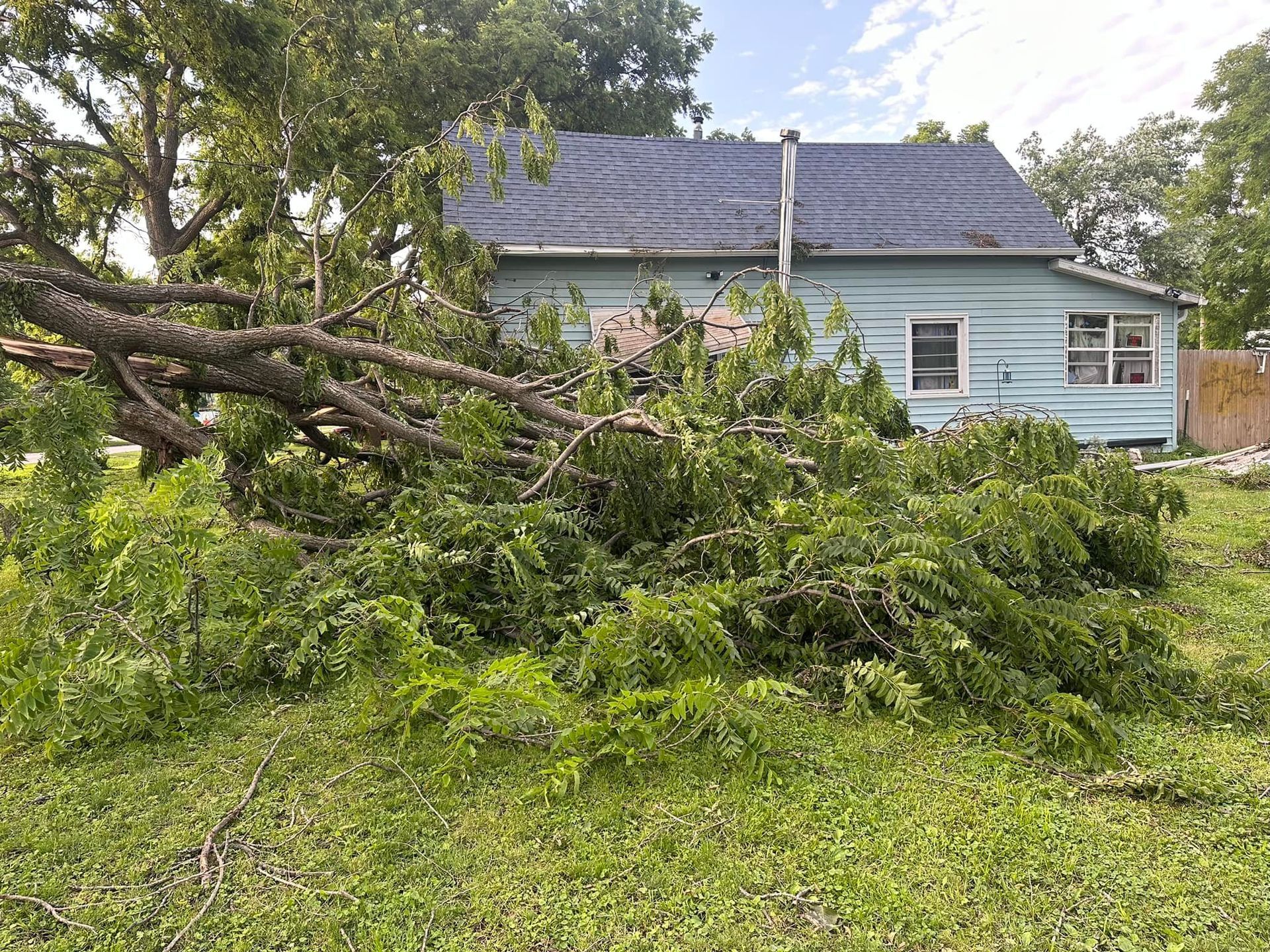 Tree branches fallen onto a light blue house, green lawn and foliage.