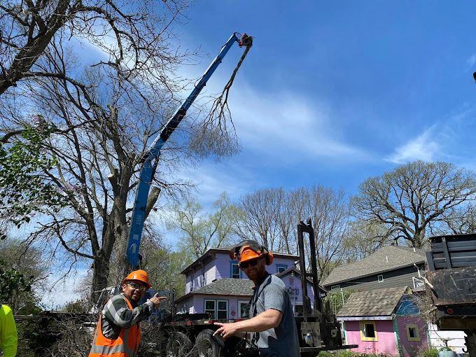 Two workers trimming tree branches with a lift, blue sky. One points, the other holds a chainsaw.