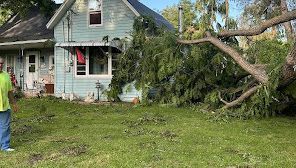 Fallen tree on a house; person standing nearby. Green grass and blue-green house in daylight.