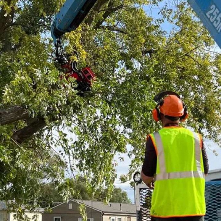 Worker in safety vest operating equipment to trim tree branches.