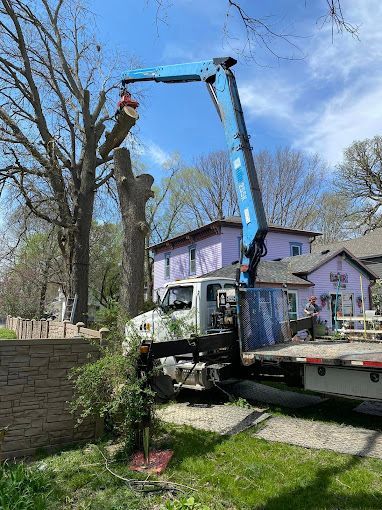 A truck with a crane cutting a tree branch next to a house under a blue sky.
