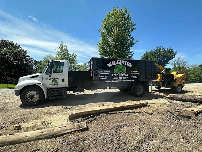 White tree service truck with a wood chipper on a gravel lot under a blue sky.