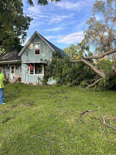A tree has fallen onto a light blue house. A person stands nearby.