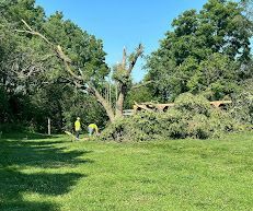 Two people in safety vests clearing debris from a fallen tree in a grassy area.