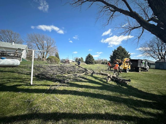Workers with equipment clearing tree branches on a grassy lot under a blue sky.