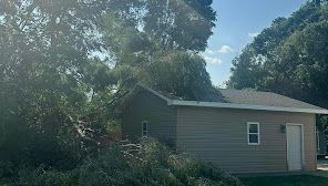 Tree fallen on a tan-sided building with a dark roof. Green foliage surrounds the structure under a blue sky.