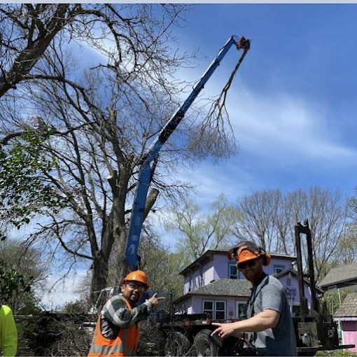 Two men trimming a tree with a lift. One points. Bright orange vests and hard hats. Blue sky, suburban setting.