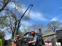 Two workers in hard hats use a blue lift to trim a tree near a house on a sunny day.