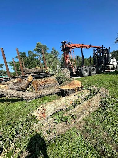 Log truck loading logs in a grassy field under a blue sky.
