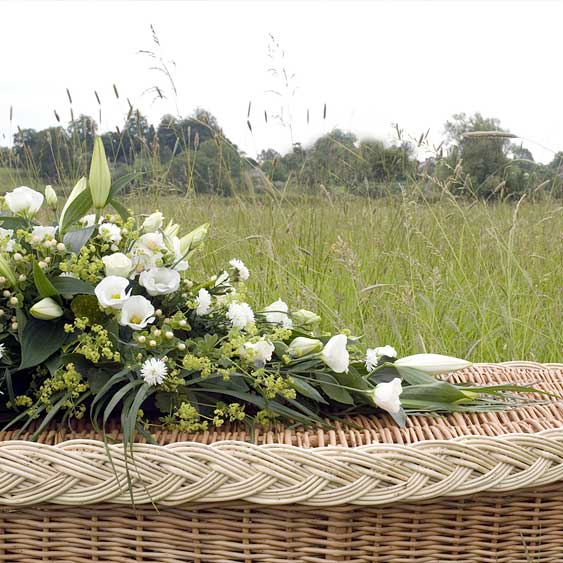 Eco Funerals Carmelina's Funeral Care