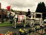 Carmelina's Funeral Home in Shipley, Bradford, Baildon, Ilkley, Keighley, Skipton, Halifax, Leeds, and West Yorkhire,