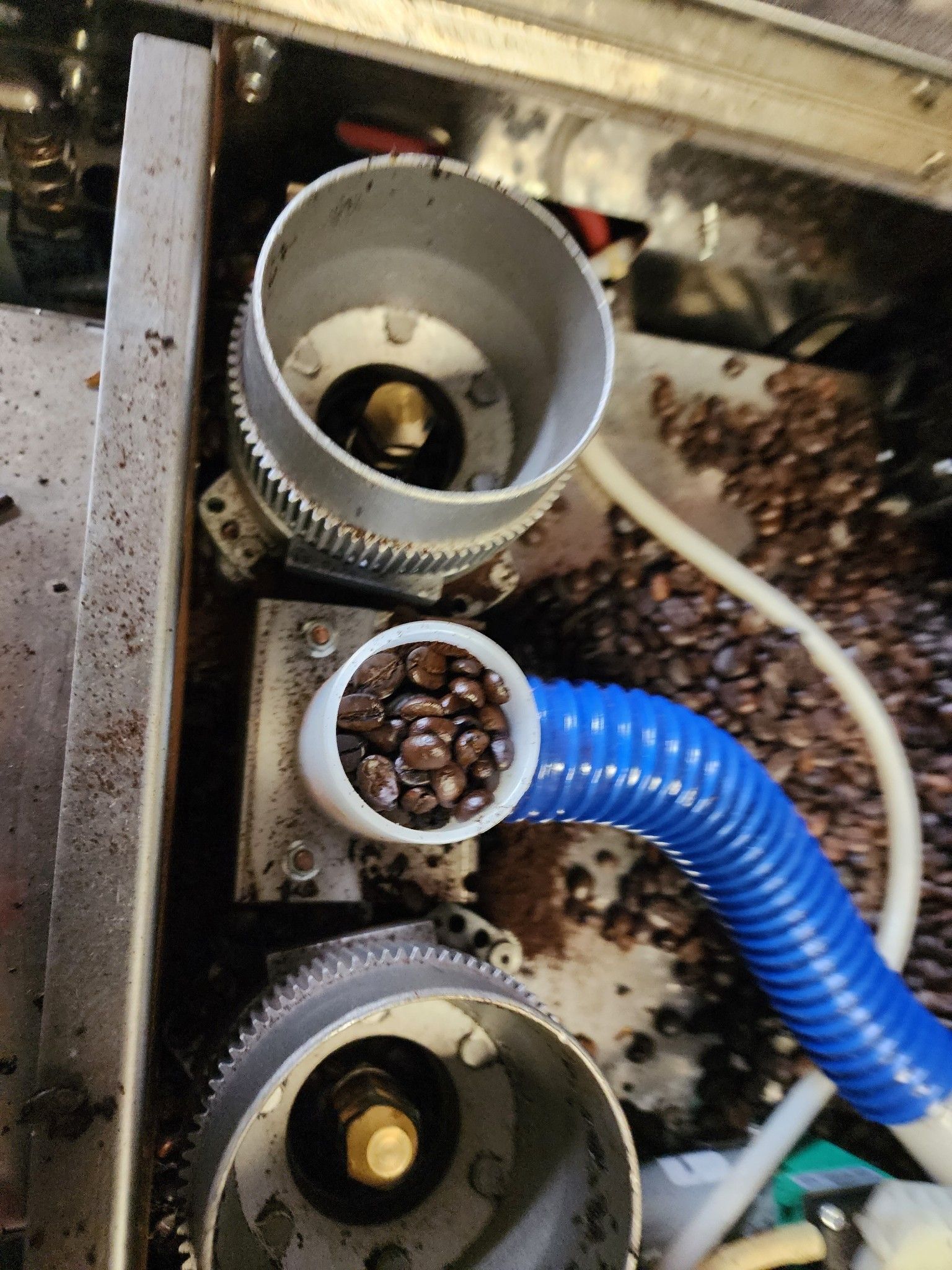 A blue hose is connected to a machine that is filled with coffee beans.