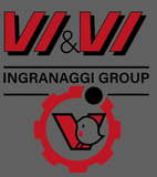 Logo Vi&Vi Group