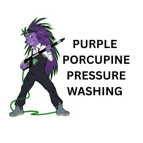 Purple porcupine character wearing overalls, holding pressure washer, with text "Purple Porcupine Pressure Washing."