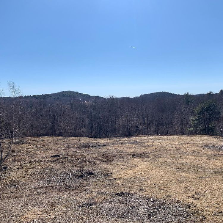 Dry, open field with sparse vegetation, trees in the background, under a bright blue sky.