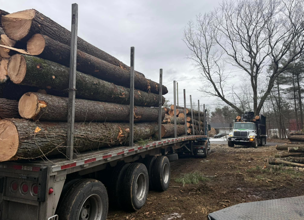 Truck trailer loaded with logs at a lumber yard; a truck with a crane is nearby.