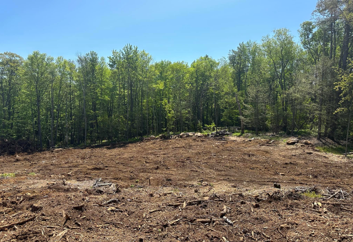 Cleared land with exposed soil, in front of a line of green trees against a blue sky.
