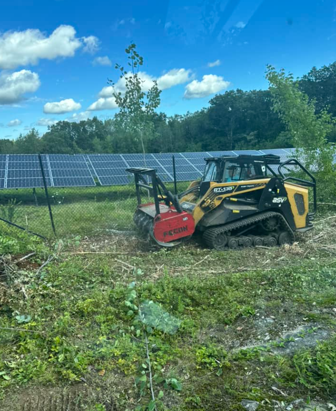 Yellow CAT skid steer with forestry mulcher clearing vegetation near a solar panel field on a sunny day.