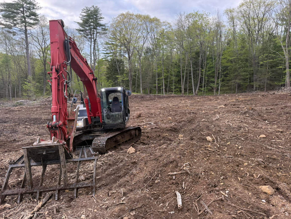 Red excavator clearing land in a wooded area with tree stumps and debris.