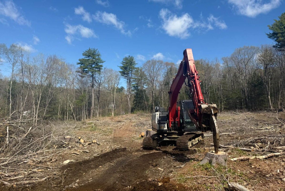 Excavator clearing a forested area, sunny day.