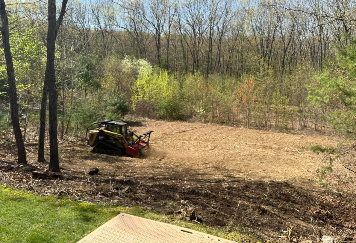 Skid steer mulching a cleared area in a wooded setting. Brown, yellow, and green foliage visible.