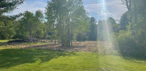 Green lawn leads to clearing with trees, bright sky with sun.