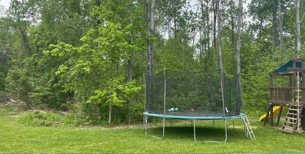 Green trampoline in a grassy backyard, surrounded by trees and a wooden playhouse.