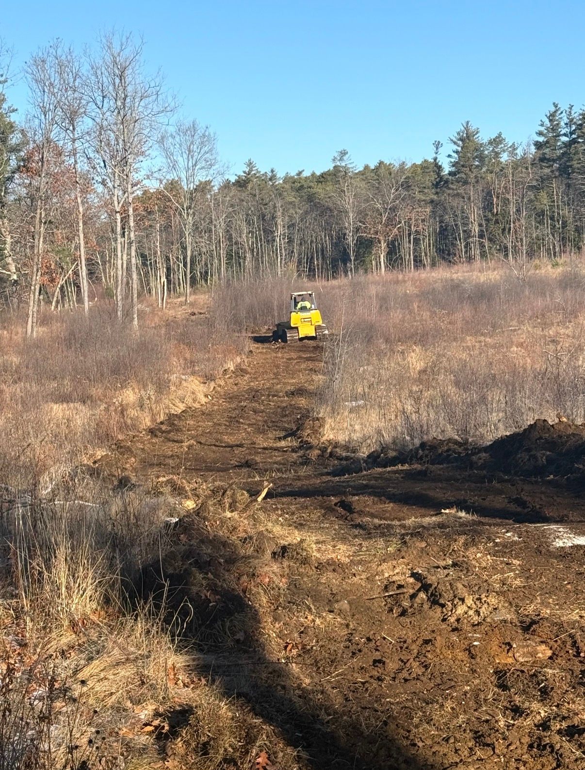 A yellow excavator clears a dirt path through a brush-filled landscape toward a line of trees under a clear blue sky.