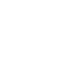 Icona - Professionisti seri