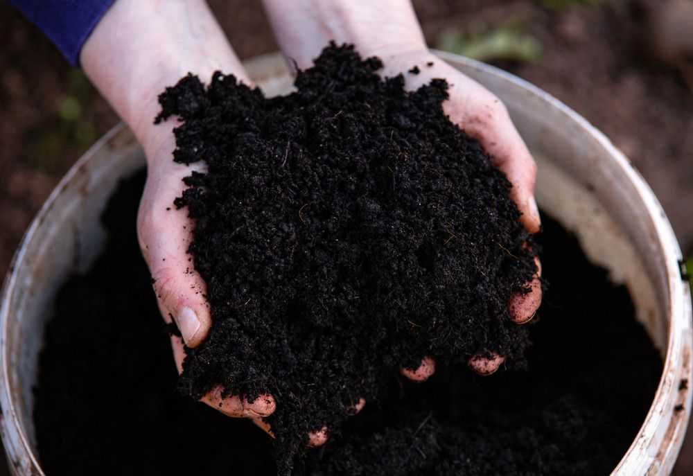 A Person is Holding a Pile of Black Dirt in Their Hands — Dampier Street Landscape Supplies in Taminda, NSW