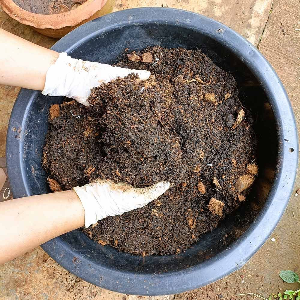 A Person Wearing Gloves is Mixing Soil in a Black Bowl — Dampier Street Landscape Supplies in Taminda, NSW