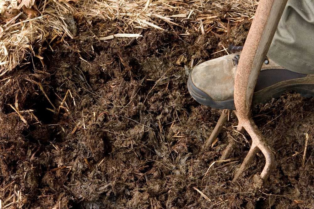 A Person is Digging in the Dirt With a Shovel — Dampier Street Landscape Supplies in Taminda, NSW