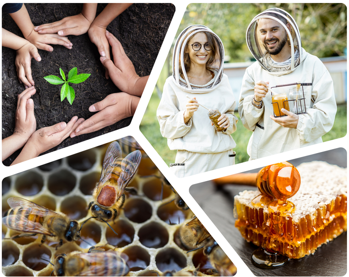 The Bee Partner Sustainability