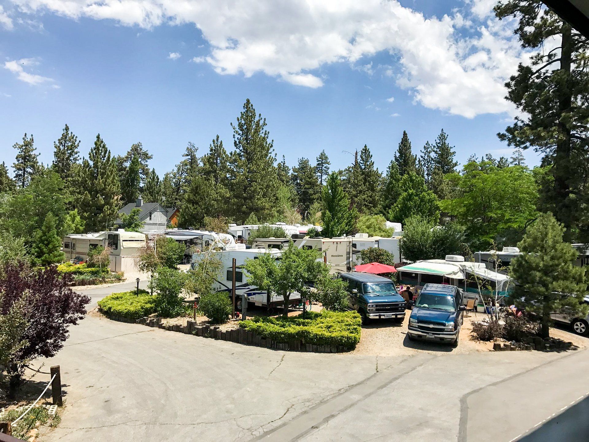 RVs parked amongst trees in RV park in Big Bear