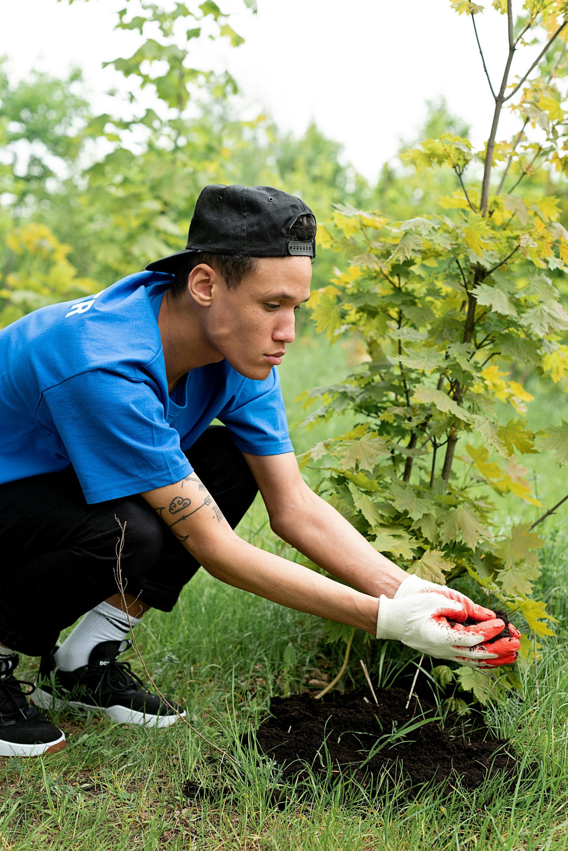 Person in blue shirt planting a tree, wearing gloves and a backward black cap, in a grassy area.