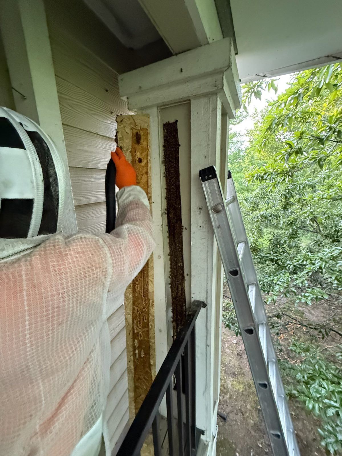 A beekeeper in a protective suit uses a vacuum hose to remove a honeycomb from inside a wooden porch pillar.