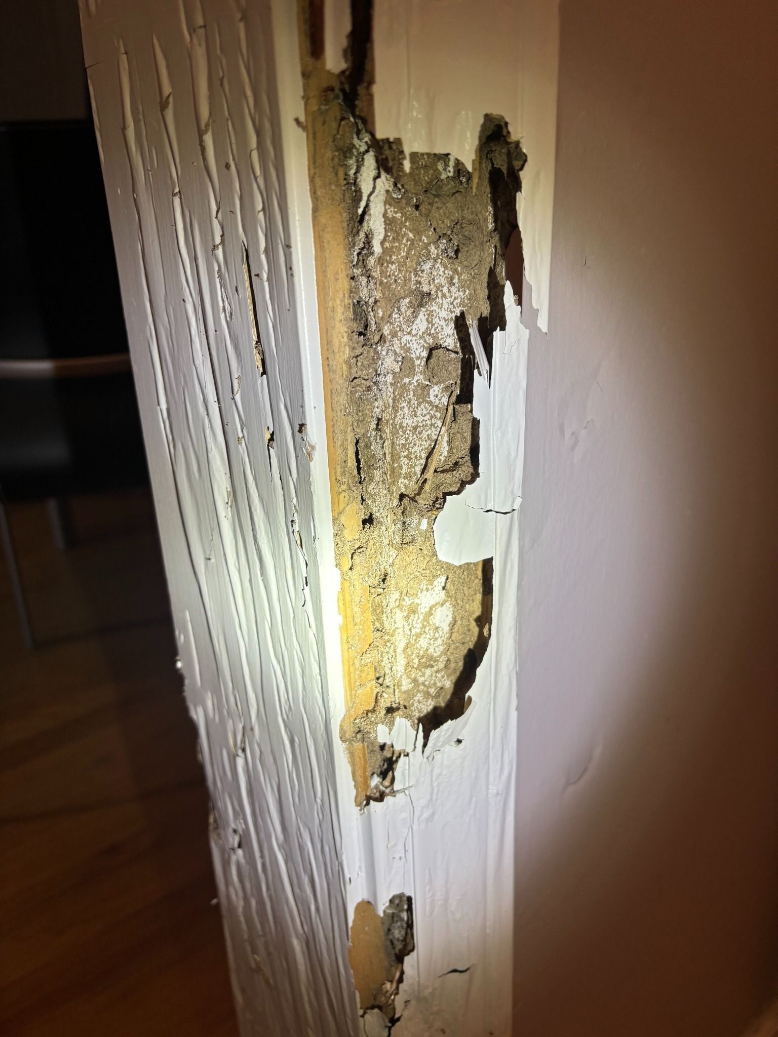 A white door frame severely damaged by termites, revealing hollowed-out wood and mud tubes inside.