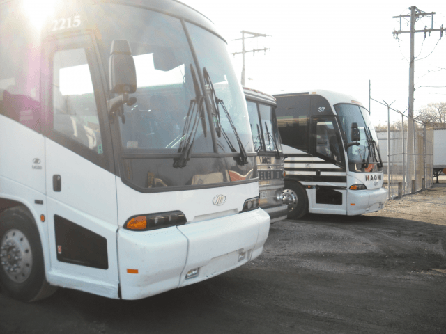 Large Passenger Buses