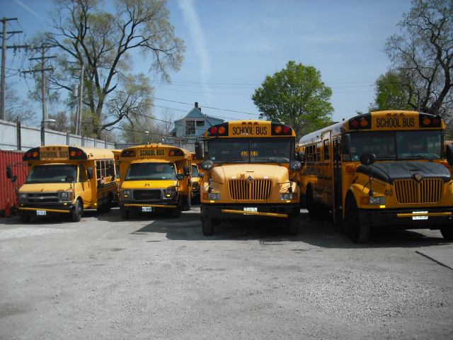 School Busses
